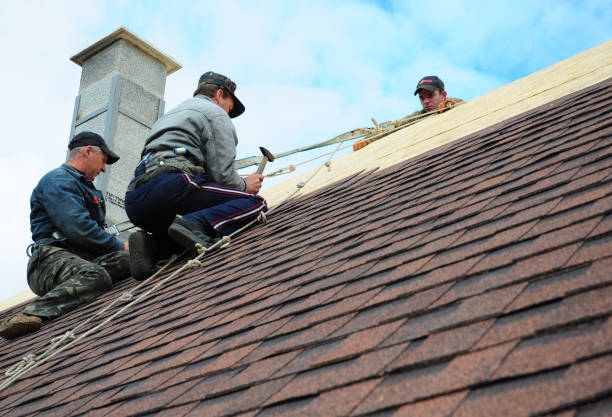 Best Roof Replacement Cost  in Bogota, NJ