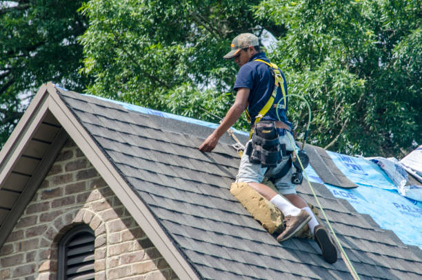 Best Roof Waterproofing Services  in Bogota, NJ